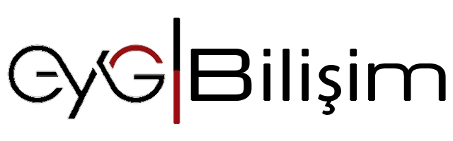 EYG Bilişim hangi hizmetleri sunmaktadır?